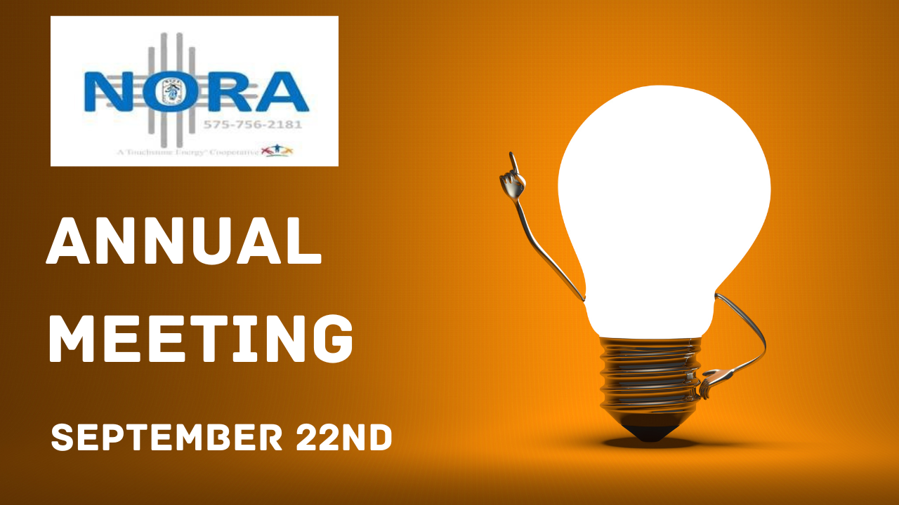 Annual Meeting